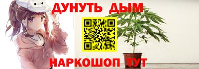 a pvp Новодвинск