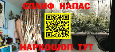 a pvp Новодвинск