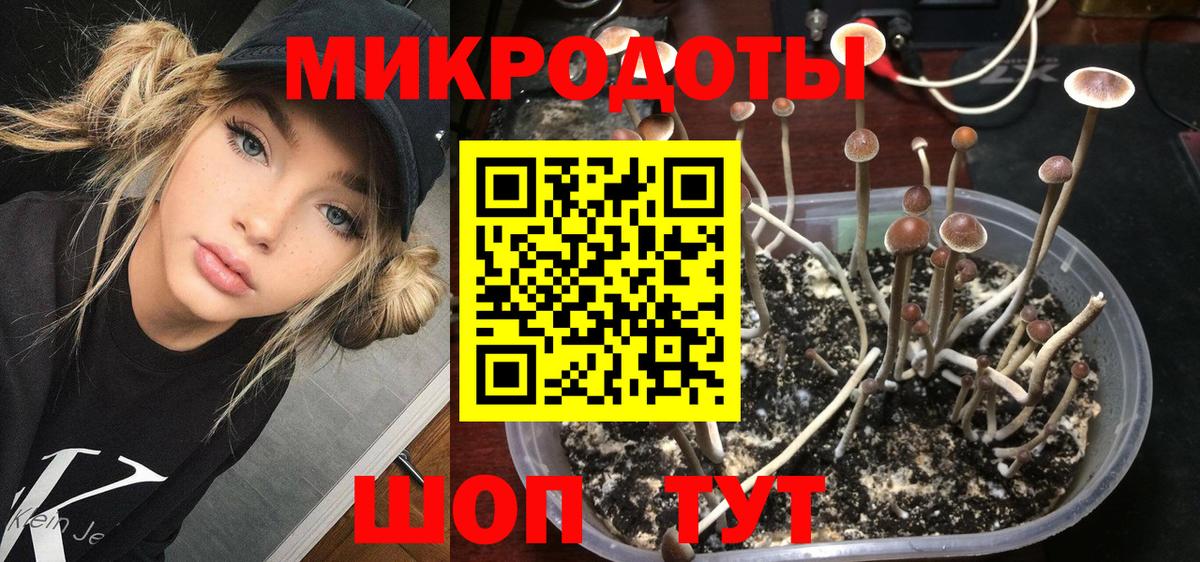 Псилоцибиновые грибы Cubensis  Галлюциногенные грибы мухоморы  Вход с VPN  Белебей 